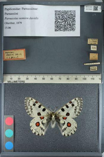 Media type: image;   Entomology 175027